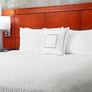 1 Bedroom 2 room Suite 1 King Sofa bed